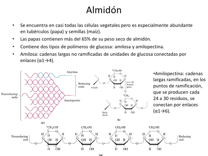 C-Map Almidon